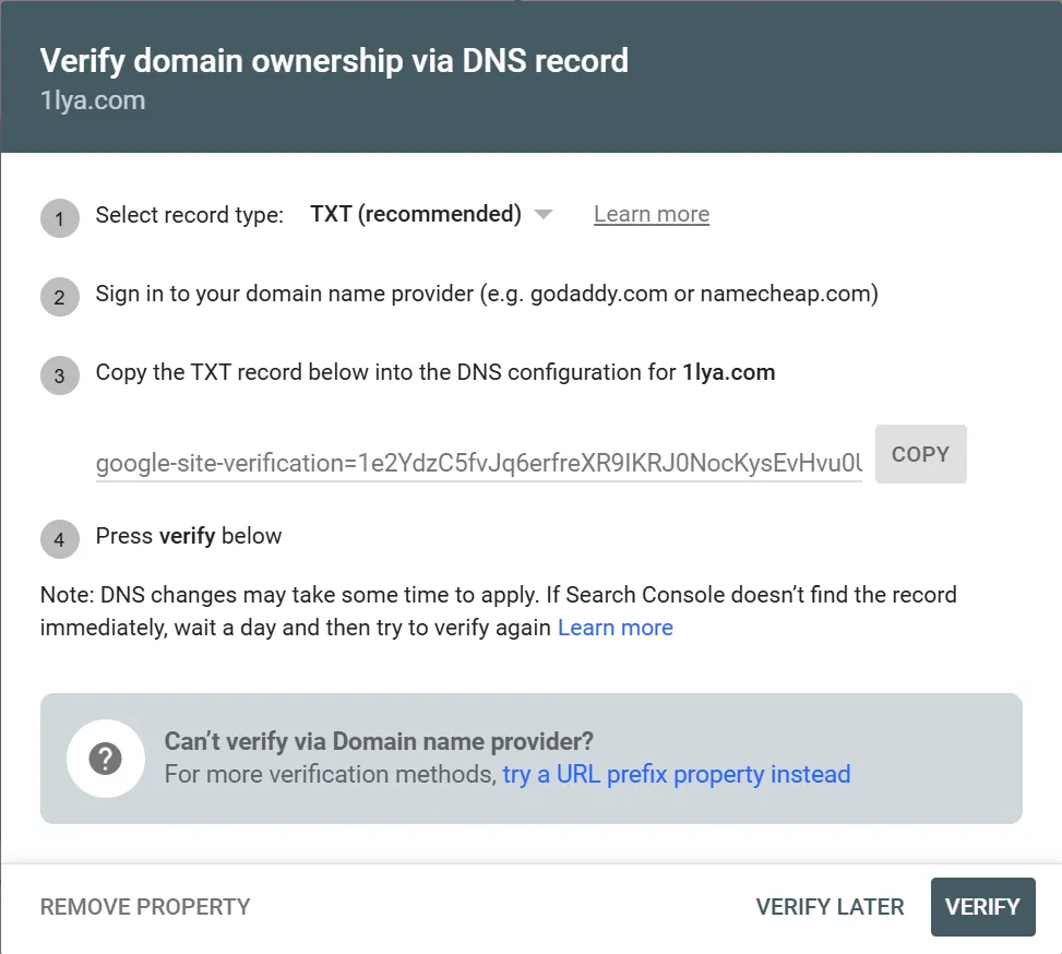 通过 DNS 解析记录验证域名所有权
