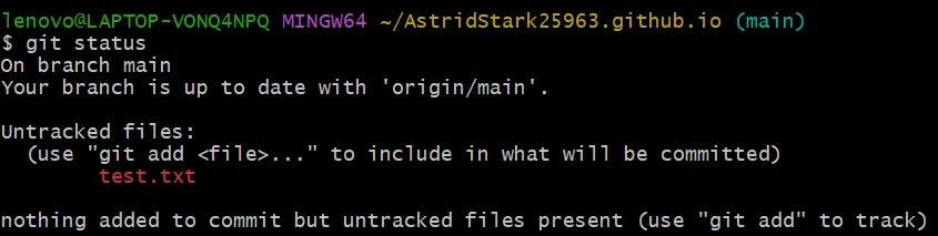 Check repository status